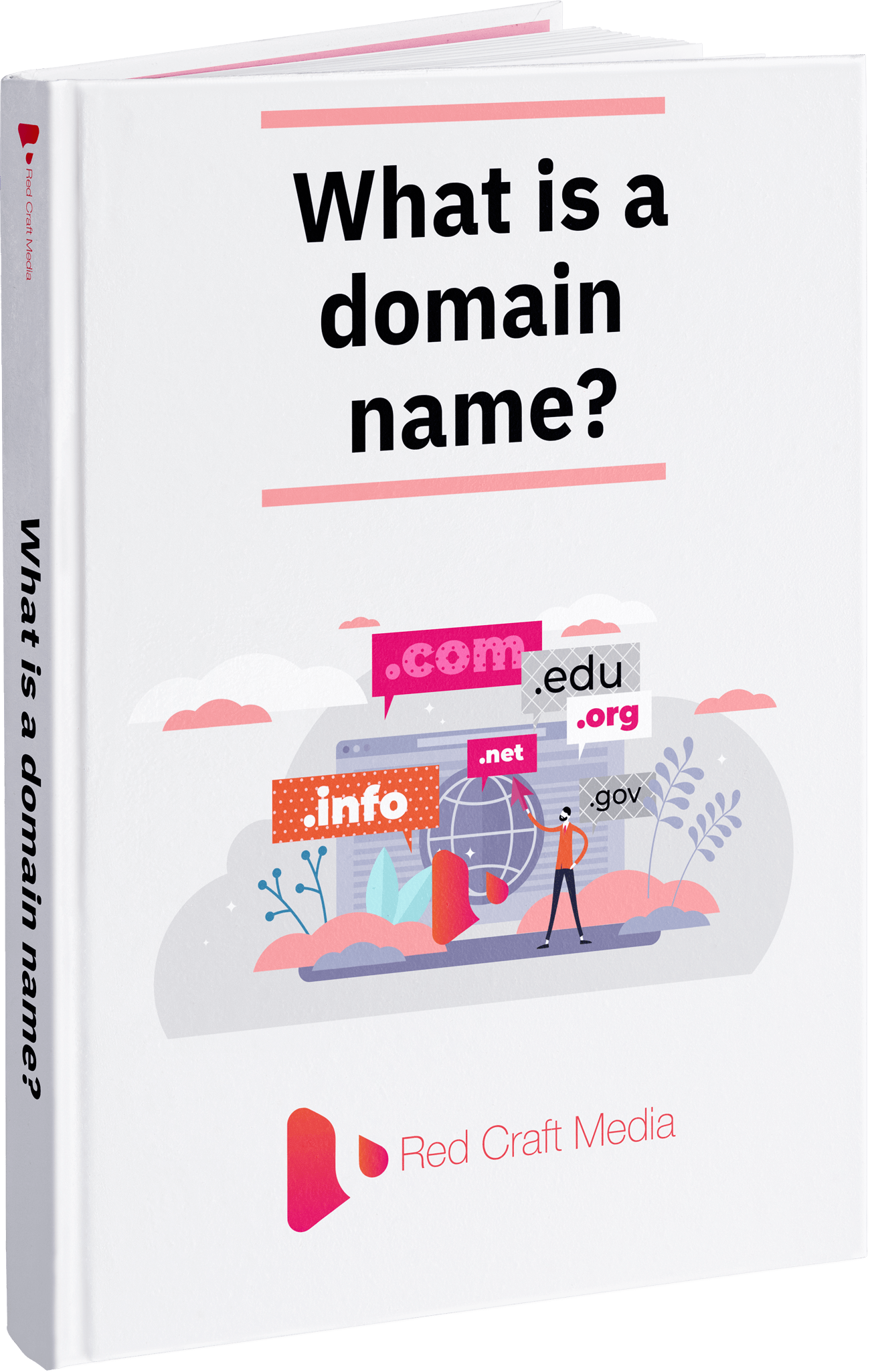 What is a Domain Name?