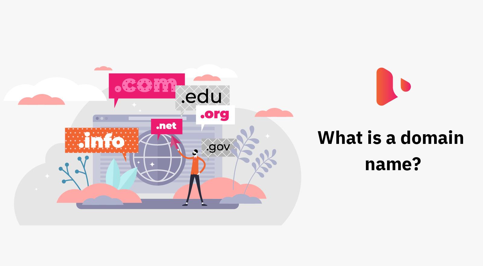 What is a Domain Name?